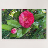 Rode Camellia, Palo Alto Legpuzzel (Horizontaal)