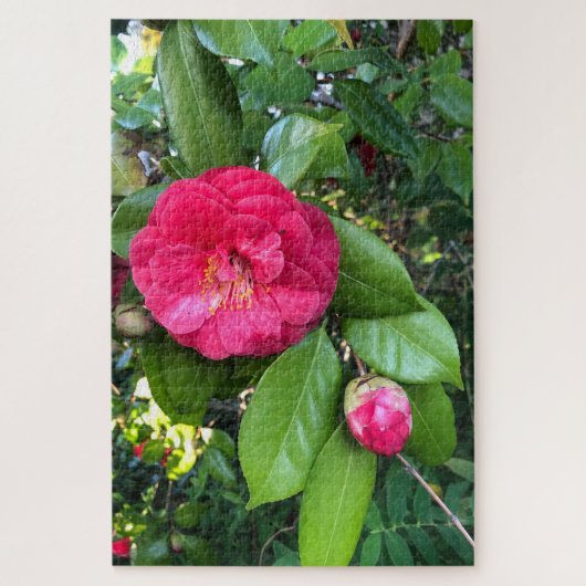 Rode Camellia, Palo Alto Legpuzzel (Verticaal)