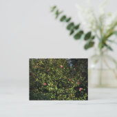 Rode Camellia Struik Visitekaartje (Staand voorkant)