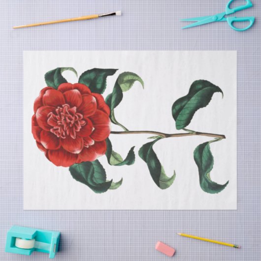  rode Camellia-ventilator Tissuepapier (Craft)