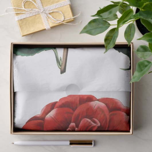 rode Camellia-ventilator Tissuepapier (Geschenk)