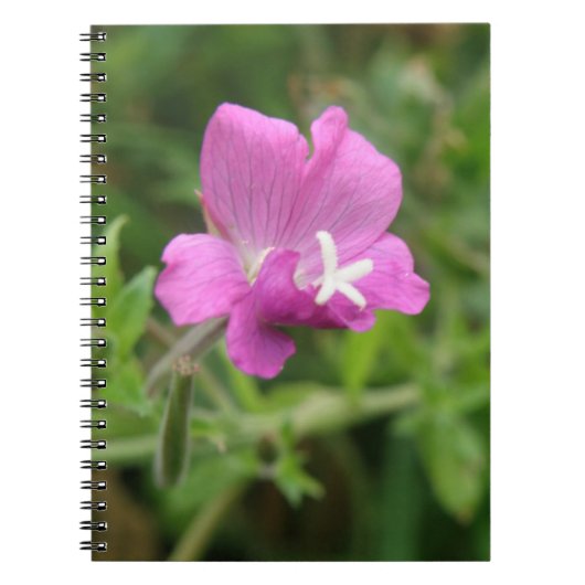 Rode Campion Wilde Bloemen Notitieboek (Voorkant)