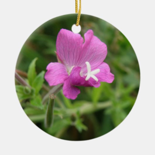 Rode Campion Wildflower Ornaments Keramisch Ornament (Voorkant)