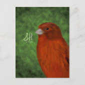 Rode Canarische Briefkaart (Voorkant)