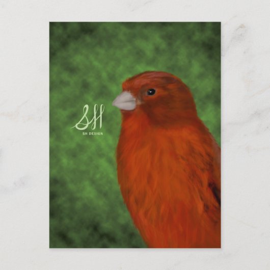 Rode Canarische Briefkaart (Voorkant)