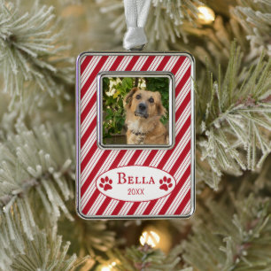 Rode Candy Cane Strepen Hond Foto Ingelijst Orname Verzilverd Omlijst Ornament