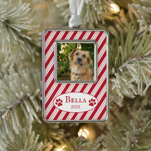 Rode Candy Cane Strepen Hond Foto Ingelijst Orname Verzilverd Omlijst Ornament (Boom)