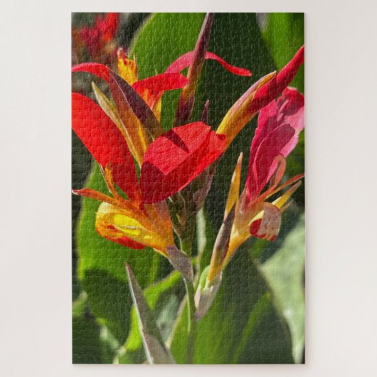 Rode Canna lelie, Oakland Legpuzzel (Verticaal)