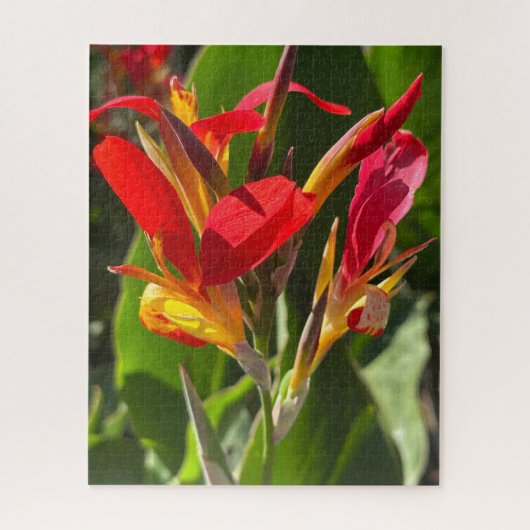 Rode Canna lelie, Oakland Legpuzzel (Verticaal)