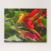 Rode Canna lelie, Oakland Legpuzzel (Horizontaal)