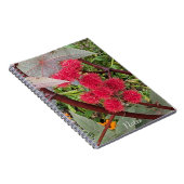 Rode Castor Bean Plant Seed Pods Notitieboek (Rechterzijde)