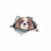 Rode Cavalier King auto sticker, Rode Cavalier Kin Sticker (Voorkant)
