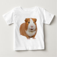 rode cavia