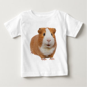 rode cavia