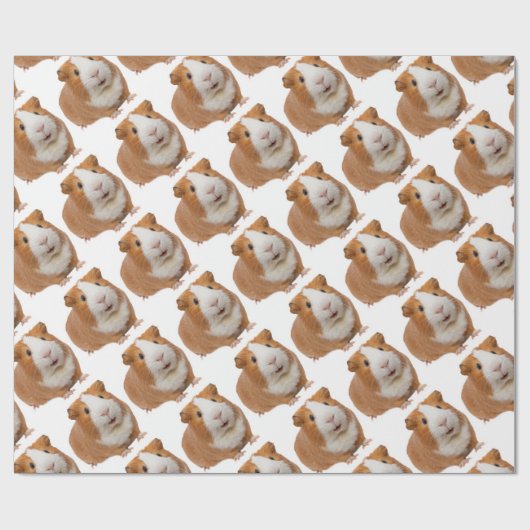 rode cavia cadeaupapier (Vlak)