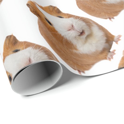 rode cavia cadeaupapier (Rol Hoek)