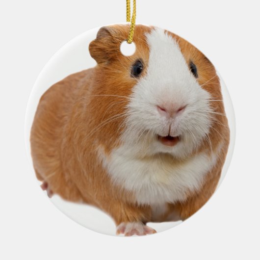 rode cavia keramisch ornament (Voorkant)