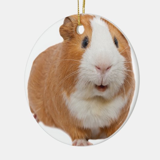 rode cavia keramisch ornament (Links)