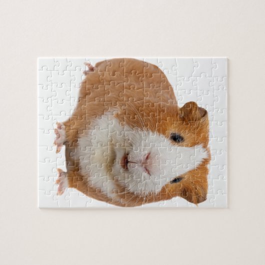 rode cavia legpuzzel (Horizontaal)