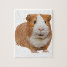 rode cavia