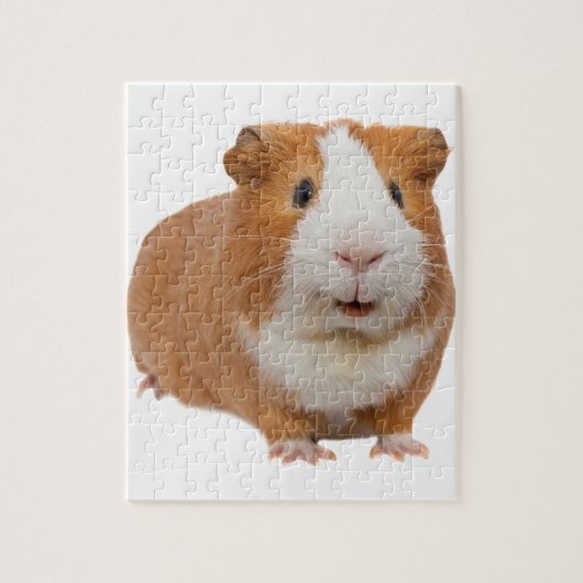 rode cavia legpuzzel (Verticaal)