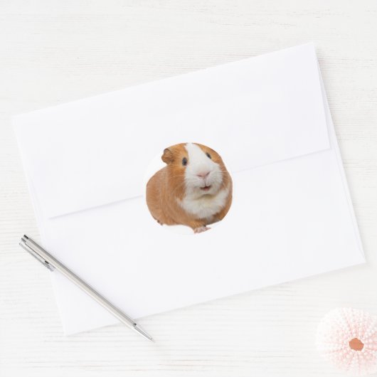 rode cavia ronde sticker (Envelop)