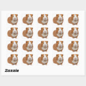 rode cavia vierkante sticker (Vel)
