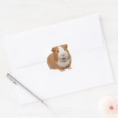 rode cavia vierkante sticker (Envelop)