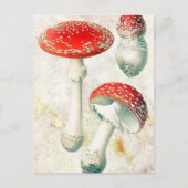 Rode champignons, morel, verzwakt achtergrond briefkaart (Voorkant)