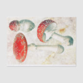 Rode champignons, morel, verzwakt achtergrond tissuepapier (Voorkant)