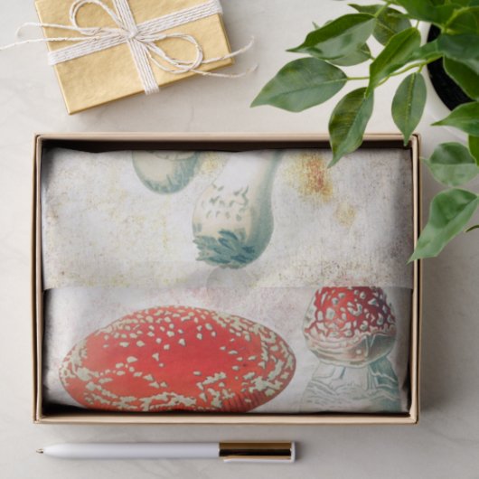 Rode champignons, morel, verzwakt achtergrond tissuepapier (Geschenk)