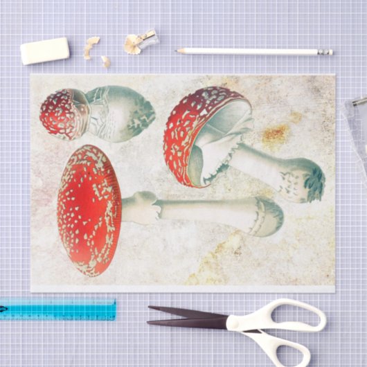 Rode champignons, morel, verzwakt achtergrond tissuepapier (Craft)