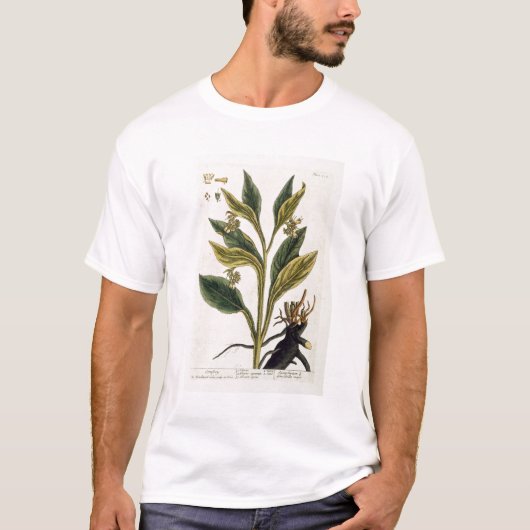 Rode Chili (kleurengravure) T-shirt (Voorkant)