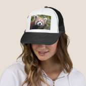 rode chinese panda4x6 trucker pet (In situ)