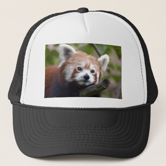 rode chinese panda4x6 trucker pet (Voorkant)