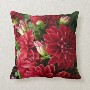Rode Chrysanthemumkussen met groene rug Kussen