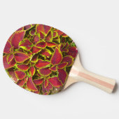 Rode Coleus Bloem Ping Pong Bat Tafeltennisbatje (Zijkant)