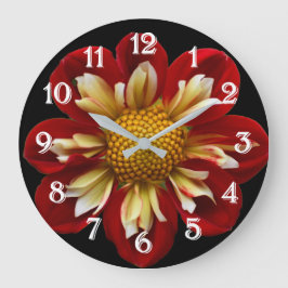 Rode Collarette Dahlia op Zwarte Bloemen Grote Klok