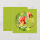 Rode Columbine Flower op Atlantis Green Flat Kaart (Voorkant / Achterkant)