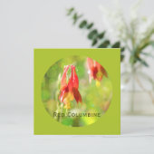 Rode Columbine Flower op Atlantis Green Flat Kaart (Staand voorkant)