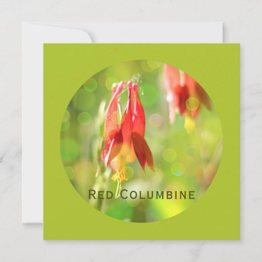 Rode Columbine Flower op Atlantis Green Flat Kaart (Voorkant)