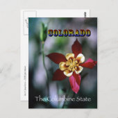 Rode Columbine -  stijl Briefkaart (Voorkant / Achterkant)