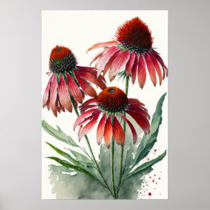 Rode Coneflowers Art Print Poster