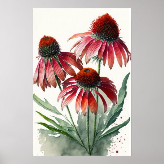 Rode Coneflowers Art Print Poster (Voorkant)