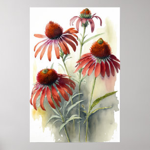 Rode Coneflowers Art Print Poster