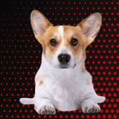 RODE Corgi Golfheadcover