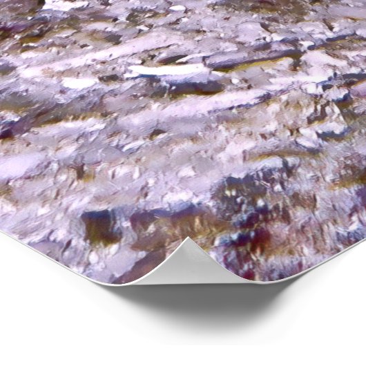 Rode coris poster (Hoek)