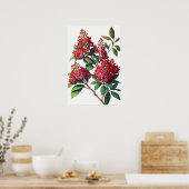 Rode Crêpe Myrtle Flowers Art Print Poster (Keuken)
