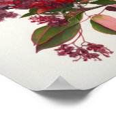 Rode Crêpe Myrtle Flowers Art Print Poster (Hoek)