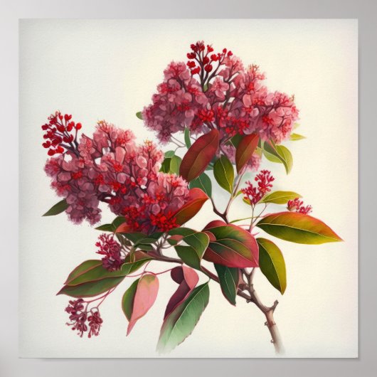 Rode Crêpe Myrtle Flowers Art Print Poster (Voorkant)